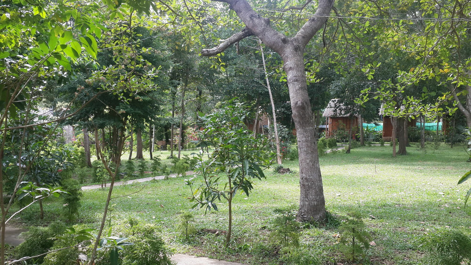 Minh Vuong Village Resort & Restaurant 富国 外观 照片